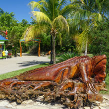 BELIZE & HARVEST CAYE