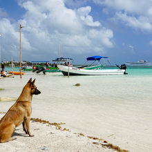 COSTA MAYA, MEXICO