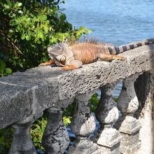 MIAMI, FLORIDA