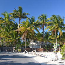 FLORIDA KEYS