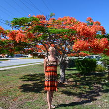 FLORIDA KEYS