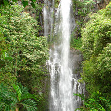 MAUI, HAWAII