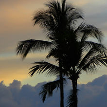 MAUI, HAWAII