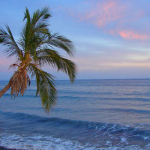 MAUI, HAWAII