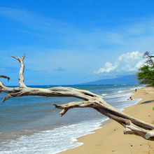 MAUI, HAWAII