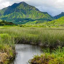 HIKING IN HAWAII