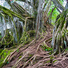 HIKING IN HAWAII