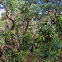 HIKING IN HAWAII