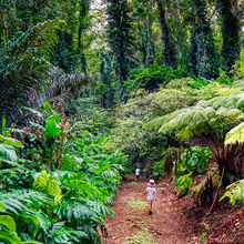 HIKING IN HAWAII