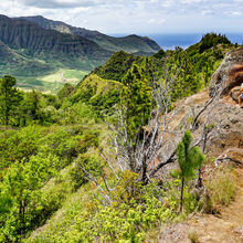 HIKING IN HAWAII