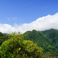 HIKING IN HAWAII