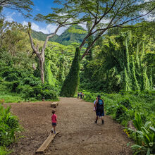 HIKING IN HAWAII