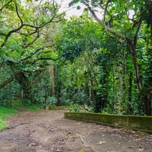 HIKING IN HAWAII