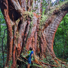 HIKING IN HAWAII