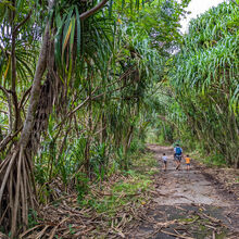 HIKING IN HAWAII