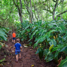 HIKING IN HAWAII