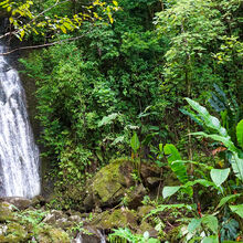 HIKING IN HAWAII