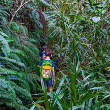 HIKING IN HAWAII