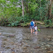 HIKING IN HAWAII