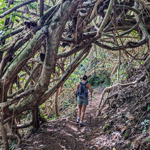 HIKING IN HAWAII