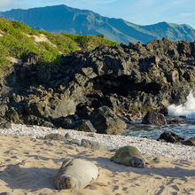 HIKING IN HAWAII