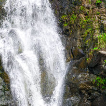 HIKING IN HAWAII