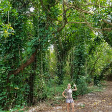 HIKING IN HAWAII