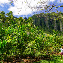 HIKING IN HAWAII