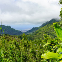 HIKING IN HAWAII