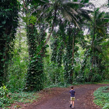 HIKING IN HAWAII