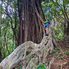 HIKING IN HAWAII