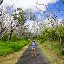 HAWAII VOLCANOES NATIONAL PARK