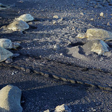 BLACK SAND BEACHES, BIG ISLAND HAWAII