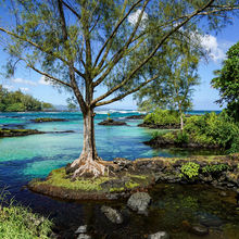 BLACK SAND BEACHES, BIG ISLAND HAWAII