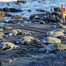 BLACK SAND BEACHES, BIG ISLAND HAWAII