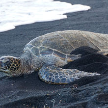 BLACK SAND BEACHES, BIG ISLAND HAWAII