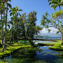 WONDERS OF THE BIG ISLAND, HAWAII