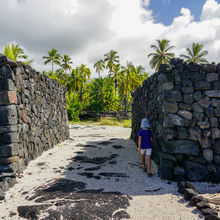 WONDERS OF THE BIG ISLAND, HAWAII