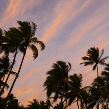 WONDERS OF THE BIG ISLAND, HAWAII