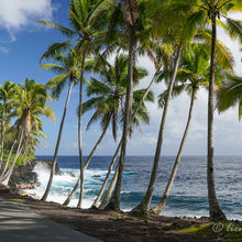 WONDERS OF THE BIG ISLAND, HAWAII