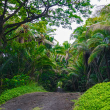 WONDERS OF THE BIG ISLAND, HAWAII