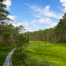 LATVIA NATURE