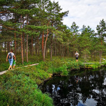 LATVIA NATURE