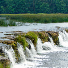 LATVIA NATURE