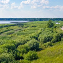 LATVIA NATURE