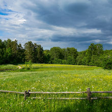 LATVIA NATURE