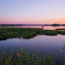 LATVIA NATURE