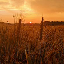 LATVIA NATURE