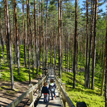 LATVIA NATURE