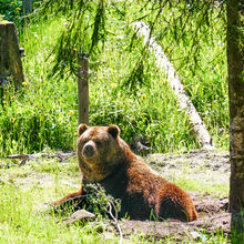 LATVIA NATURE